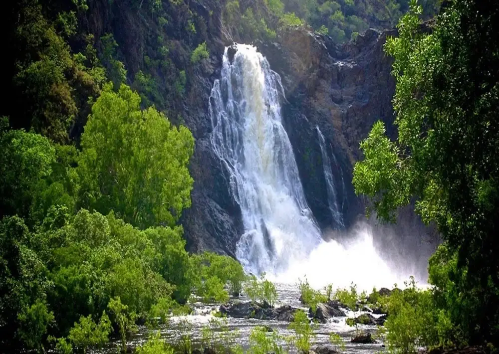 Rainforest creek and waterfall near Irvinebank, Queensland